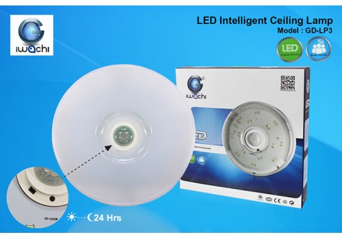 IWACHI-SS-LIGHT-GD-LP3